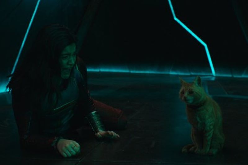 Marvels 2.jpg Marvels 2.jpg